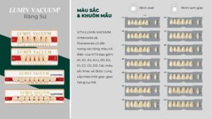 VITA LUMIN® VACUUM