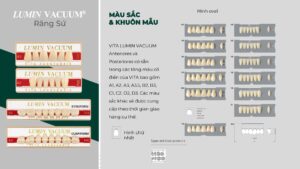 VITA LUMIN® VACUUM
