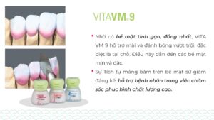 VITA VM®9