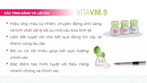 VITA VM®9
