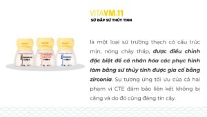 VITA VM®11