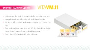 VITA VM®11