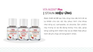 VITA AKZENT® Plus
