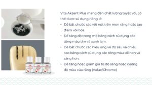 VITA AKZENT® Plus