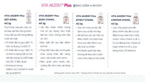 VITA AKZENT® Plus