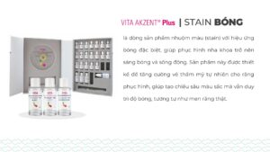 VITA AKZENT® Plus