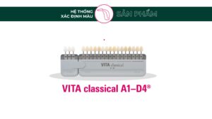 VITA classical A1-D4®