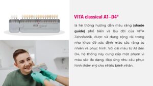 VITA classical A1-D4®