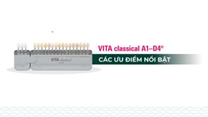 VITA classical A1-D4®