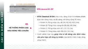 VITA classical A1-D4®