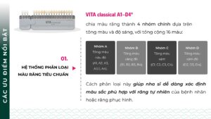 VITA classical A1-D4®