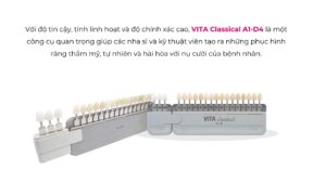 VITA classical A1-D4®