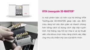 VITA Linearguide 3D-MASTER®