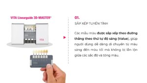 VITA Linearguide 3D-MASTER®
