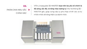 VITA Linearguide 3D-MASTER®
