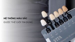 VITA Linearguide 3D-MASTER®