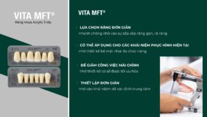 VITA MFT®