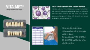 VITA MFT®