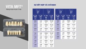VITA MFT®