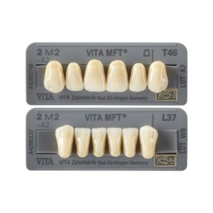 VITA MFT®