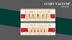 VITA LUMIN® VACUUM