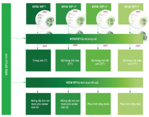 Giải pháp VITA YZ