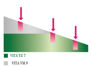Giải pháp VITA YZ
