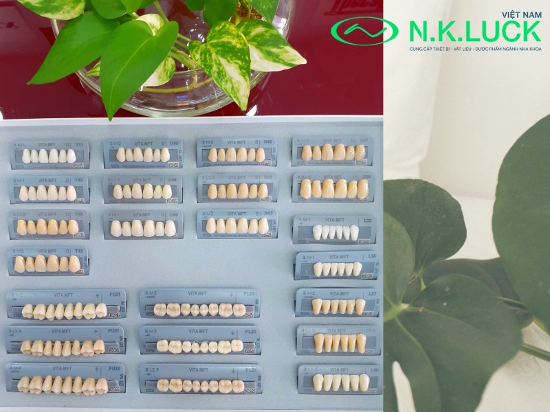 Răng nhựa cao cấp 4 Răng tháo lắp VITA MFT ưu việt hơn hẳn so với răng nhựa thông thường