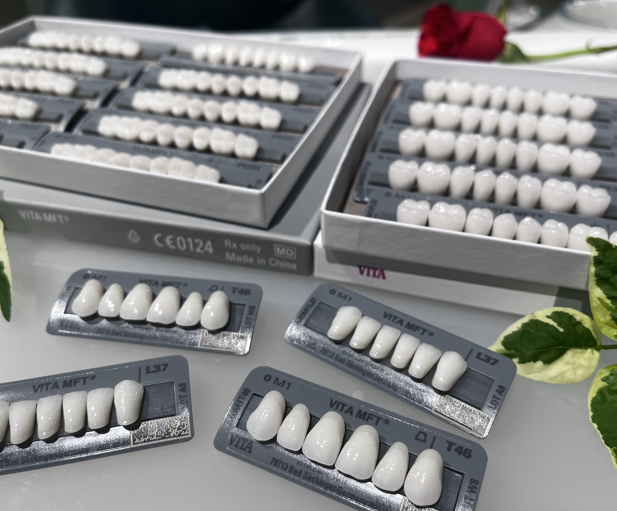 Răng nhựa cao cấp 2 VITA MFT là dòng răng giả bằng nhựa cao cấp đáng lựa chọn nhất hiện nay